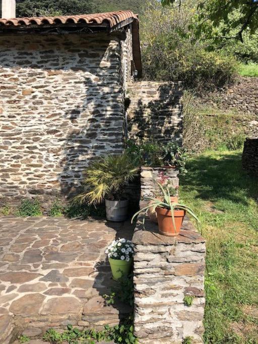 Maison Rurale Au Coeur Des Cevennes Ardechoises Dompnac Kültér fotó