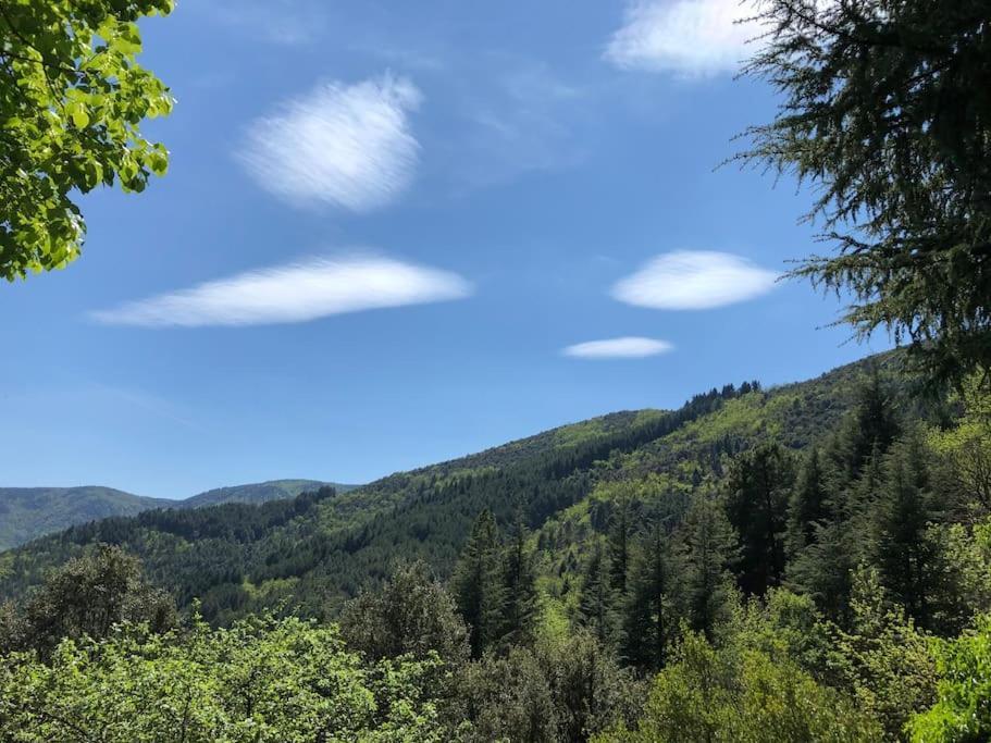 Maison Rurale Au Coeur Des Cevennes Ardechoises Dompnac Kültér fotó