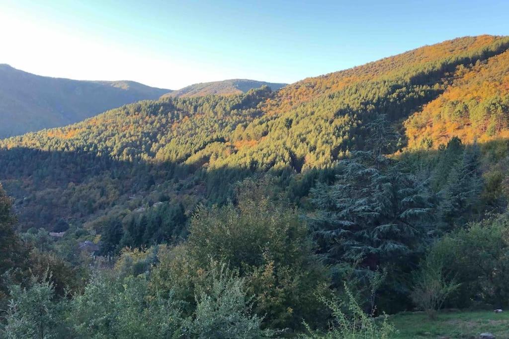 Maison Rurale Au Coeur Des Cevennes Ardechoises Dompnac Kültér fotó